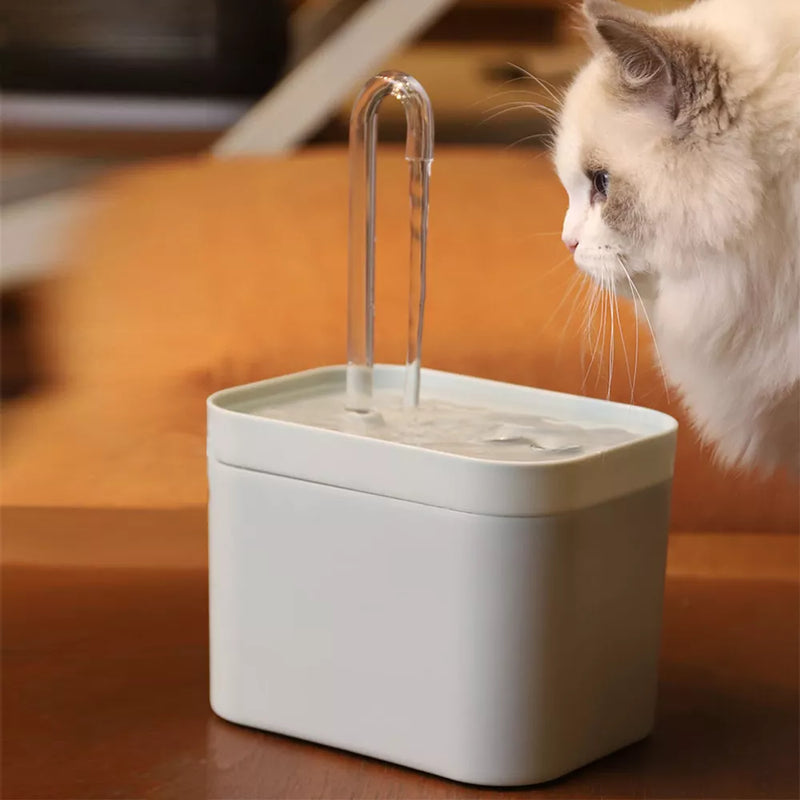 Filtro de água - Ideal para seu gatil